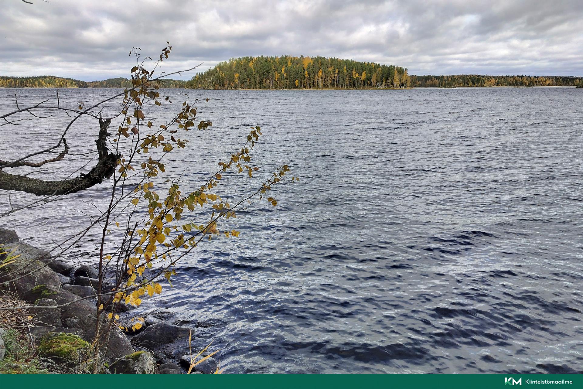 Rauhakiventie tontit 2, 3 ja 6, Ristiina, Mikkeli