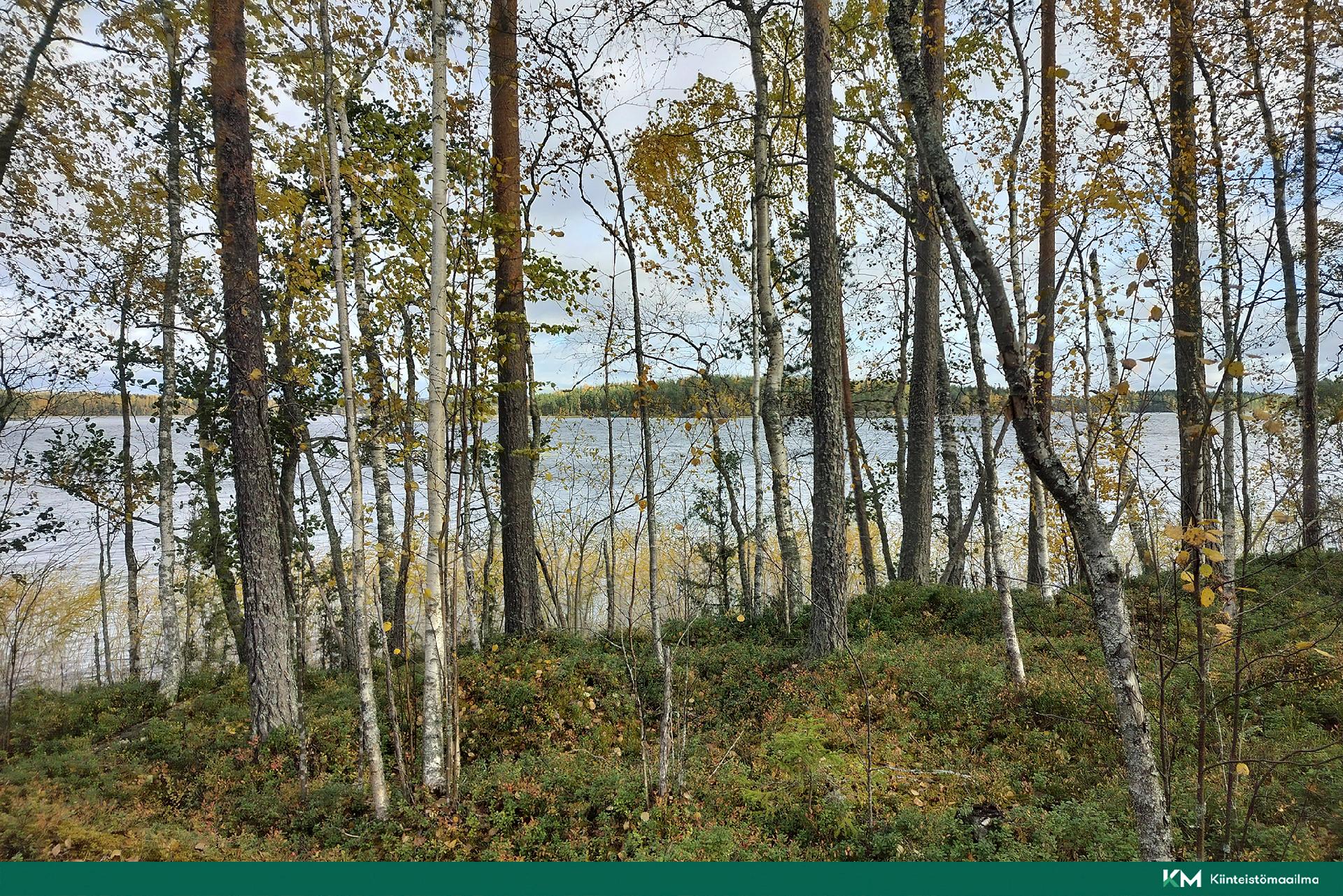 Rauhakiventie tontit 2, 3 ja 6, Ristiina, Mikkeli