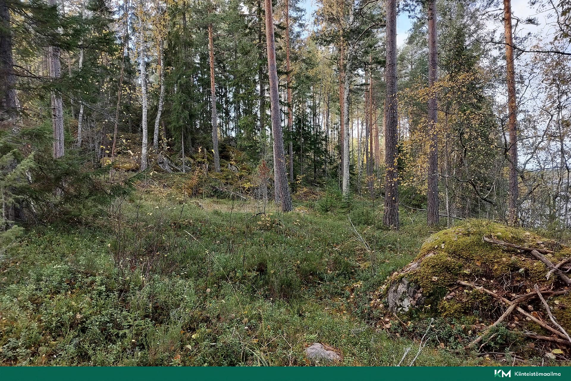 Rauhakiventie tontit 2, 3 ja 6, Ristiina, Mikkeli