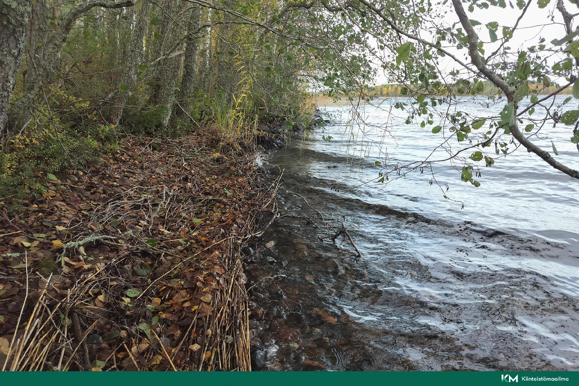 Rauhakiventie tontit 2, 3 ja 6, Ristiina, Mikkeli