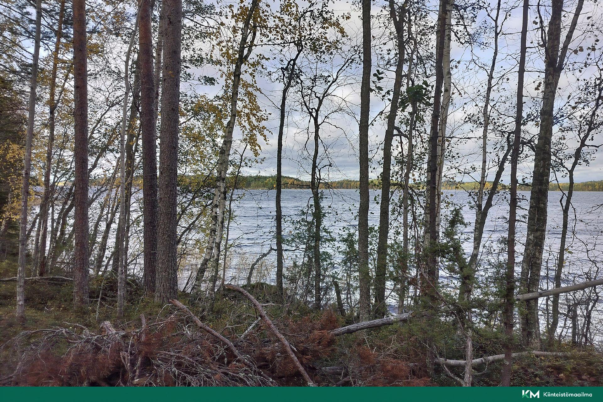 Rauhakiventie tontit 2, 3 ja 6, Ristiina, Mikkeli