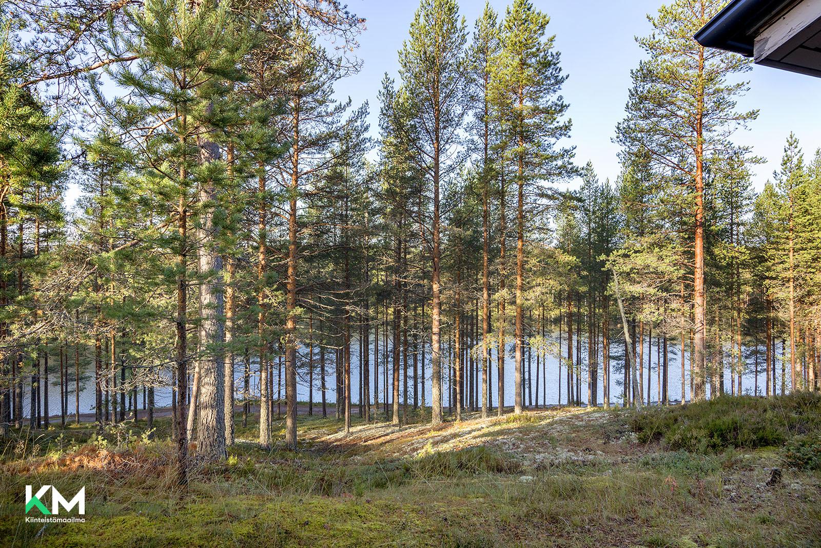 Rokuanrivintie 52, Rokua, Utajärvi