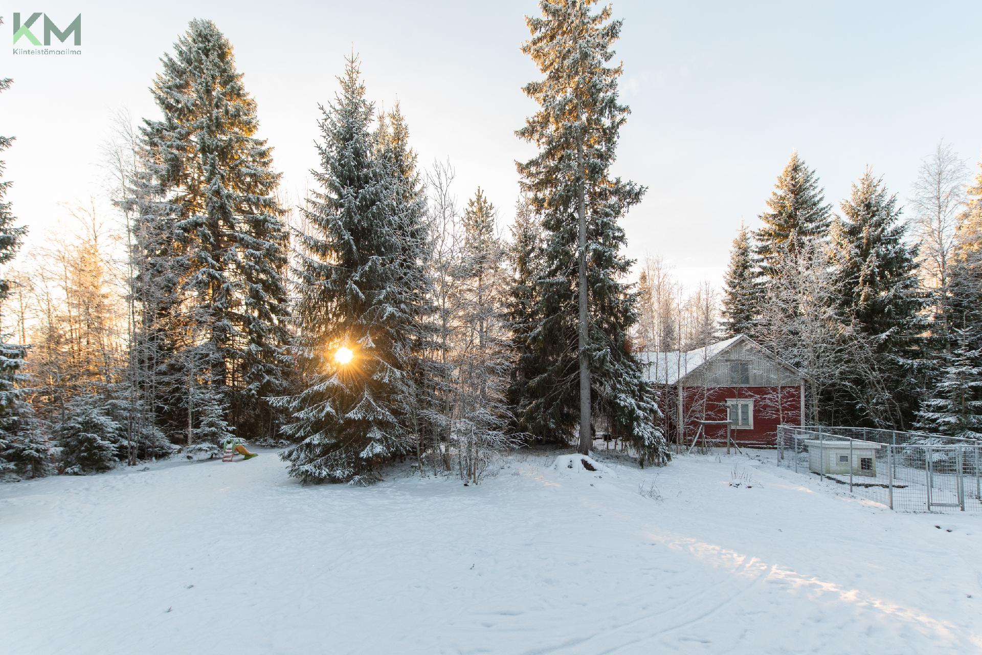 Jurvantie 1234, Nopankylä, Ilmajoki