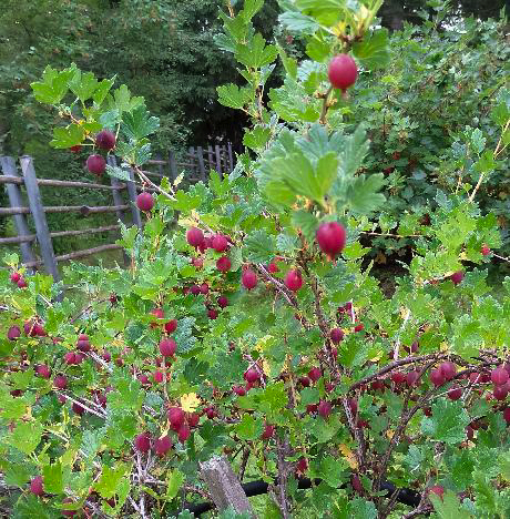 Meiramitie 5, Oulunsalo, Oulu