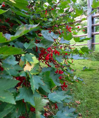 Meiramitie 5, Oulunsalo, Oulu