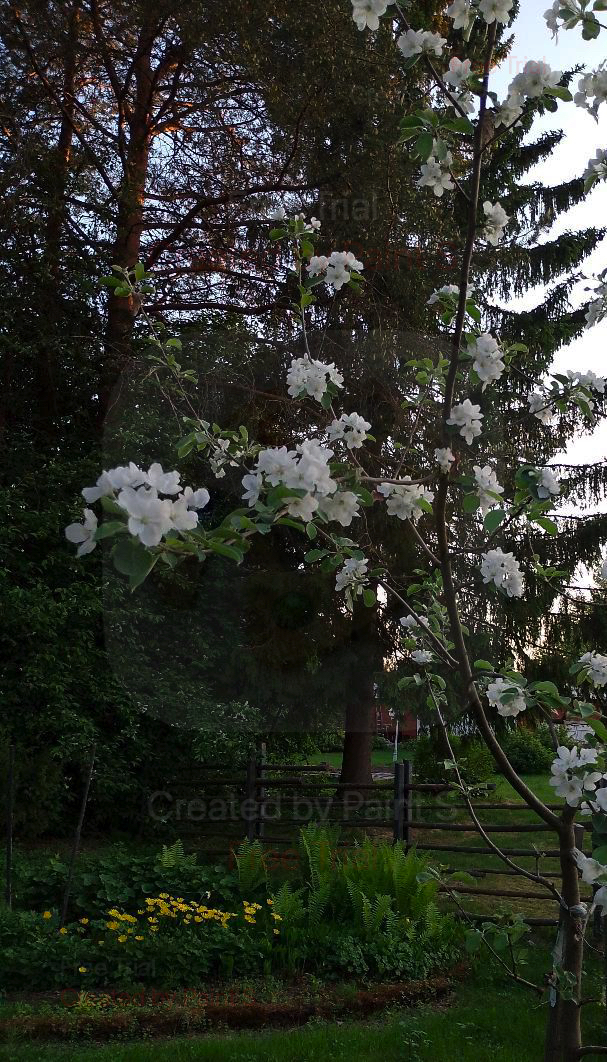 Meiramitie 5, Oulunsalo, Oulu