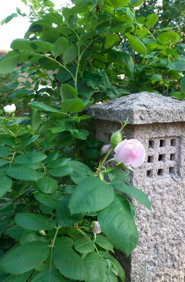 Meiramitie 5, Oulunsalo, Oulu