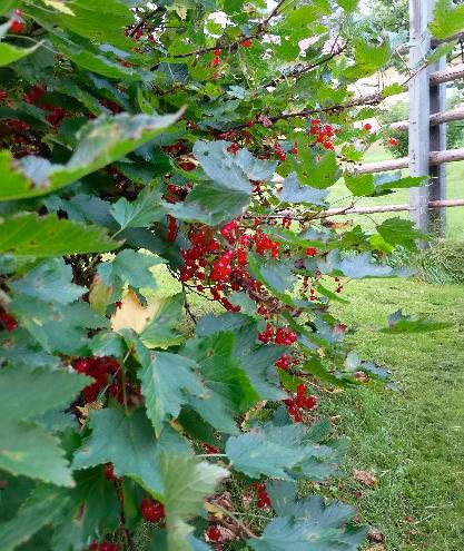 Meiramitie 5, Oulunsalo, Oulu