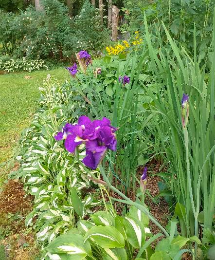 Meiramitie 5, Oulunsalo, Oulu