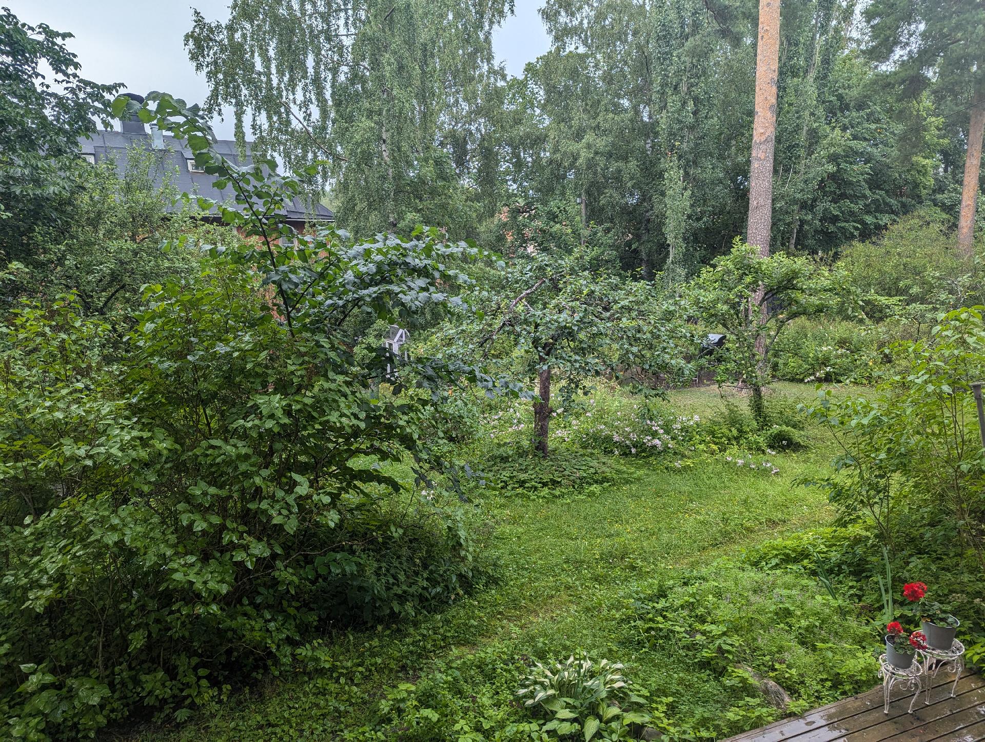 Pellervontie 32, Käpylä, Helsinki