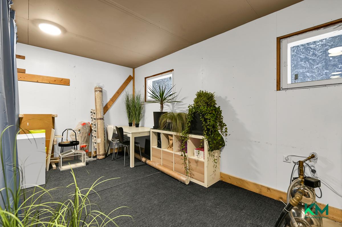 Kimisvikintie 48, Tammisaari, Raasepori