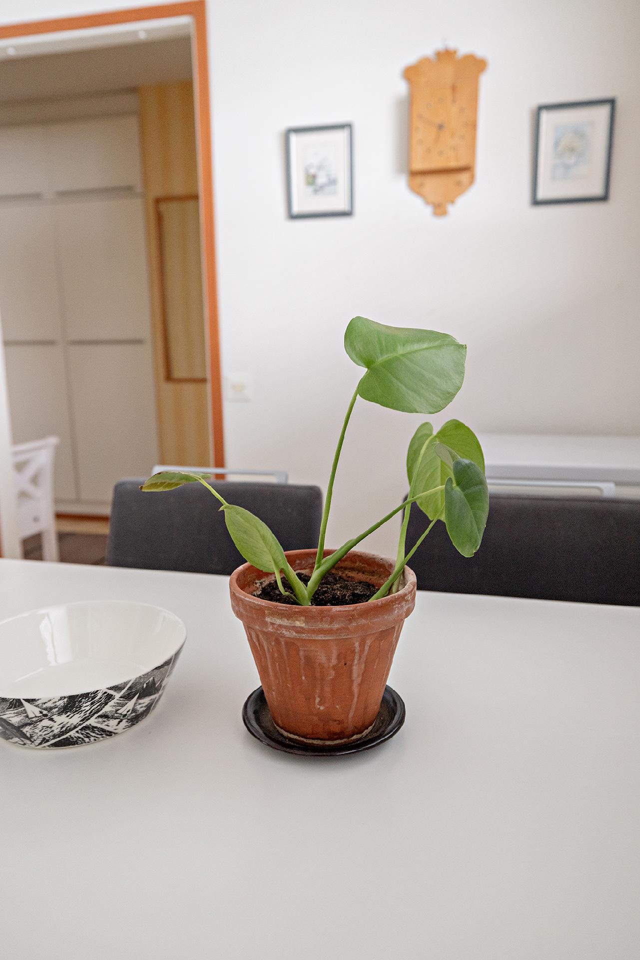 Matilaisentie 2, Kaijonranta, Oulu