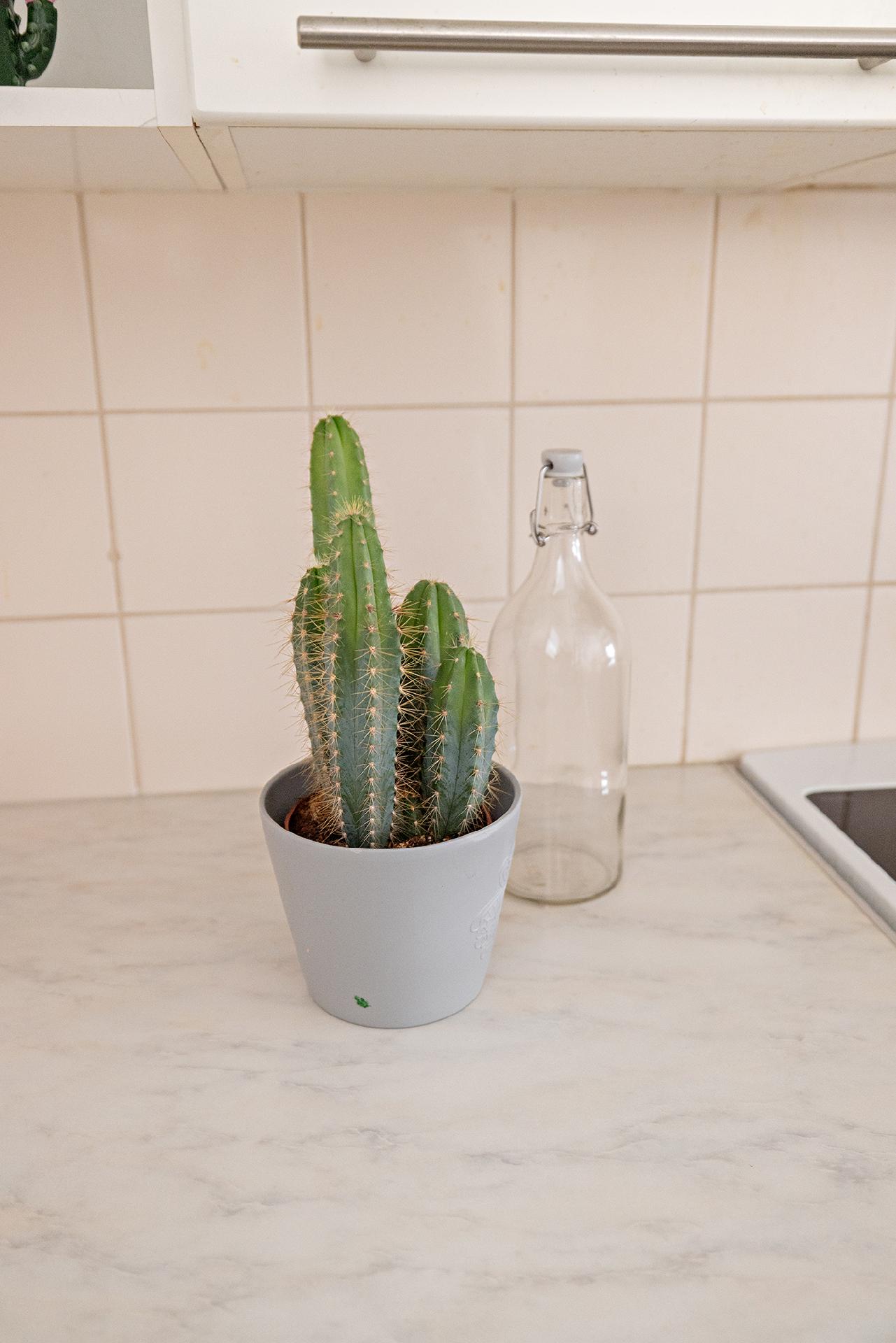 Matilaisentie 2, Kaijonranta, Oulu