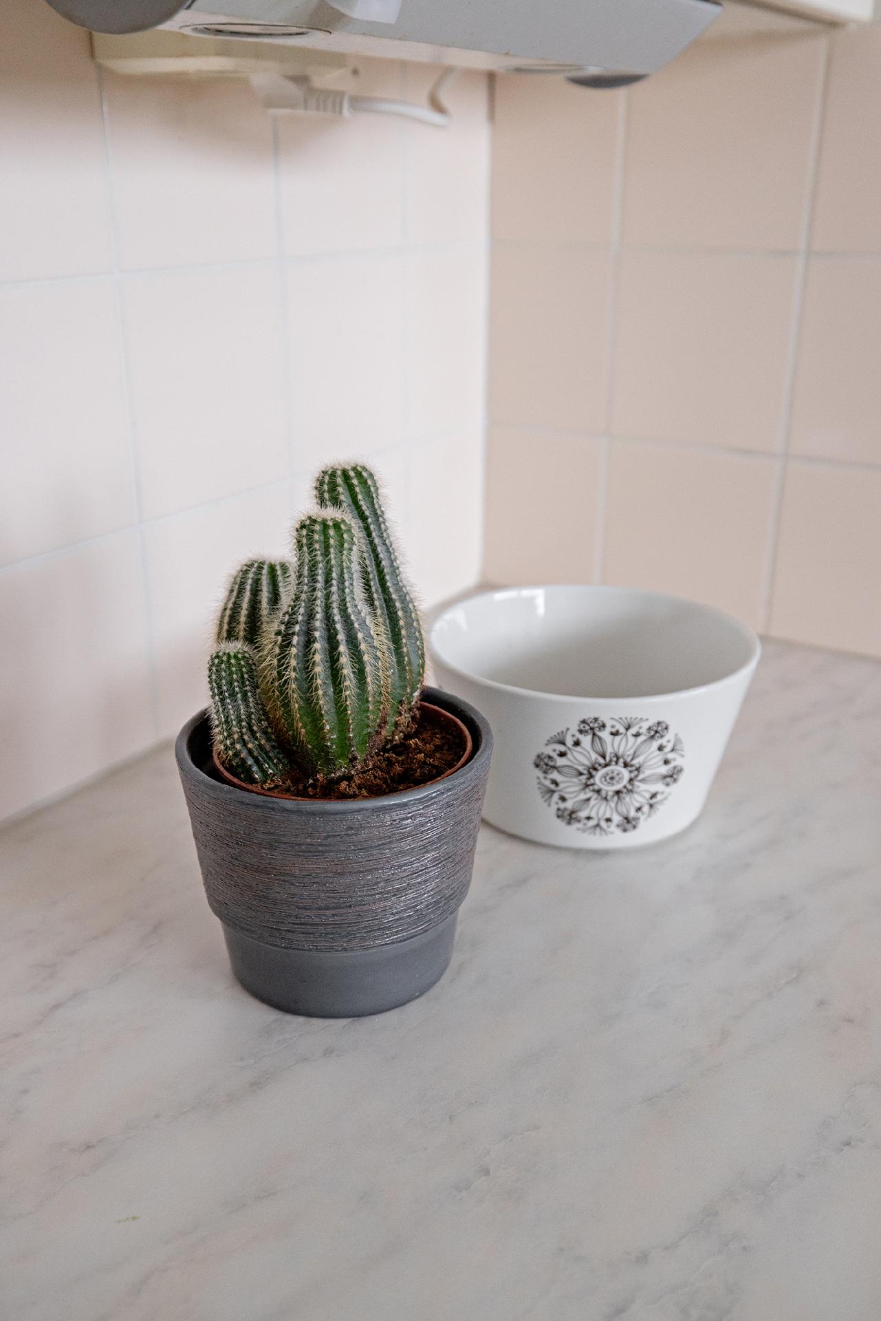 Matilaisentie 2, Kaijonranta, Oulu