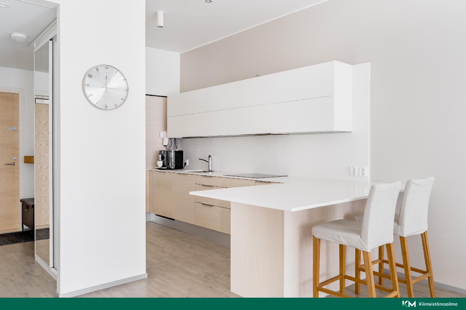 Keittiön ja olohuoneen jakaa saareke