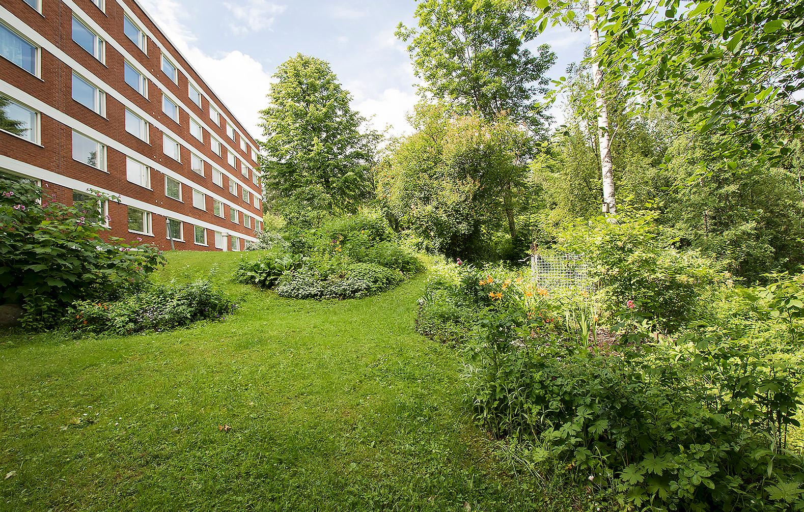 kesäinen kuva takapihalta