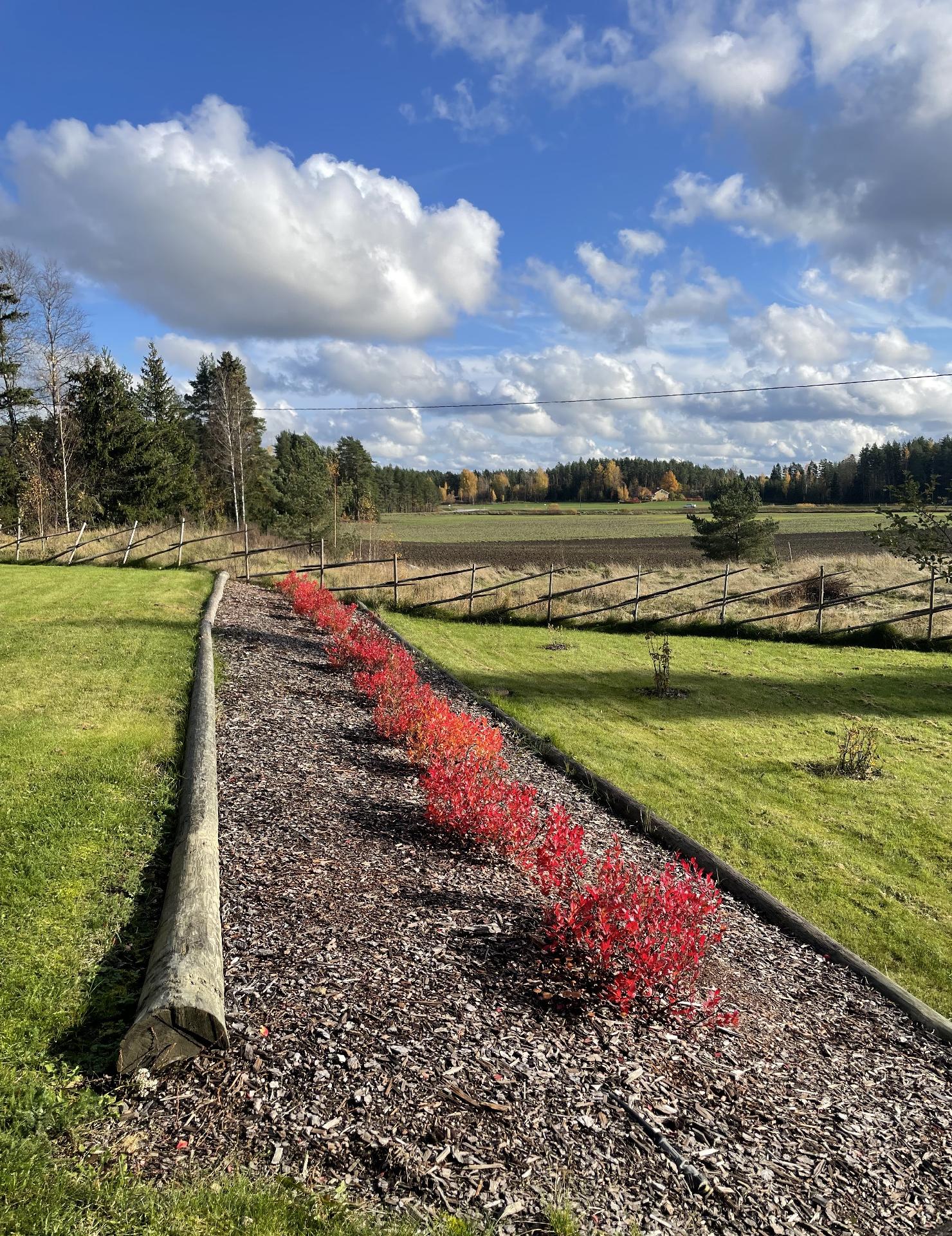 Matinkalliontie 37, Pertteli, Salo