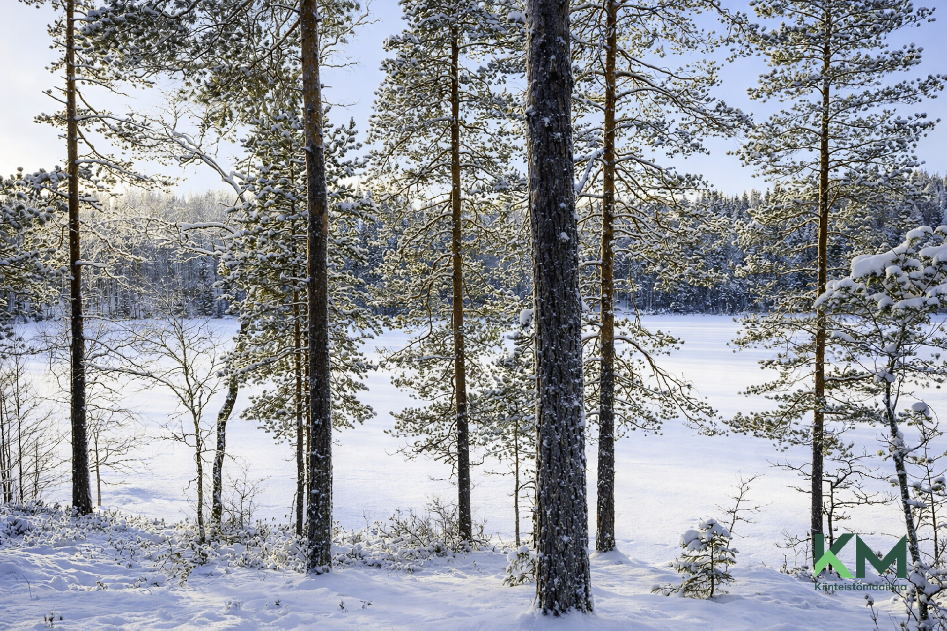 Hietaniementie 84, Savonranta, Savonlinna