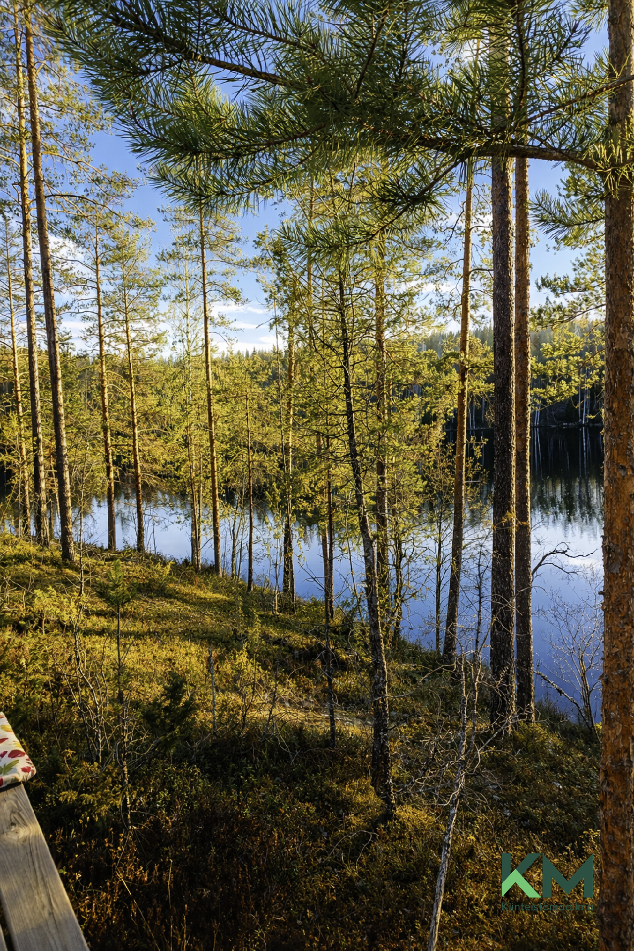 Hietaniementie 84, Savonranta, Savonlinna