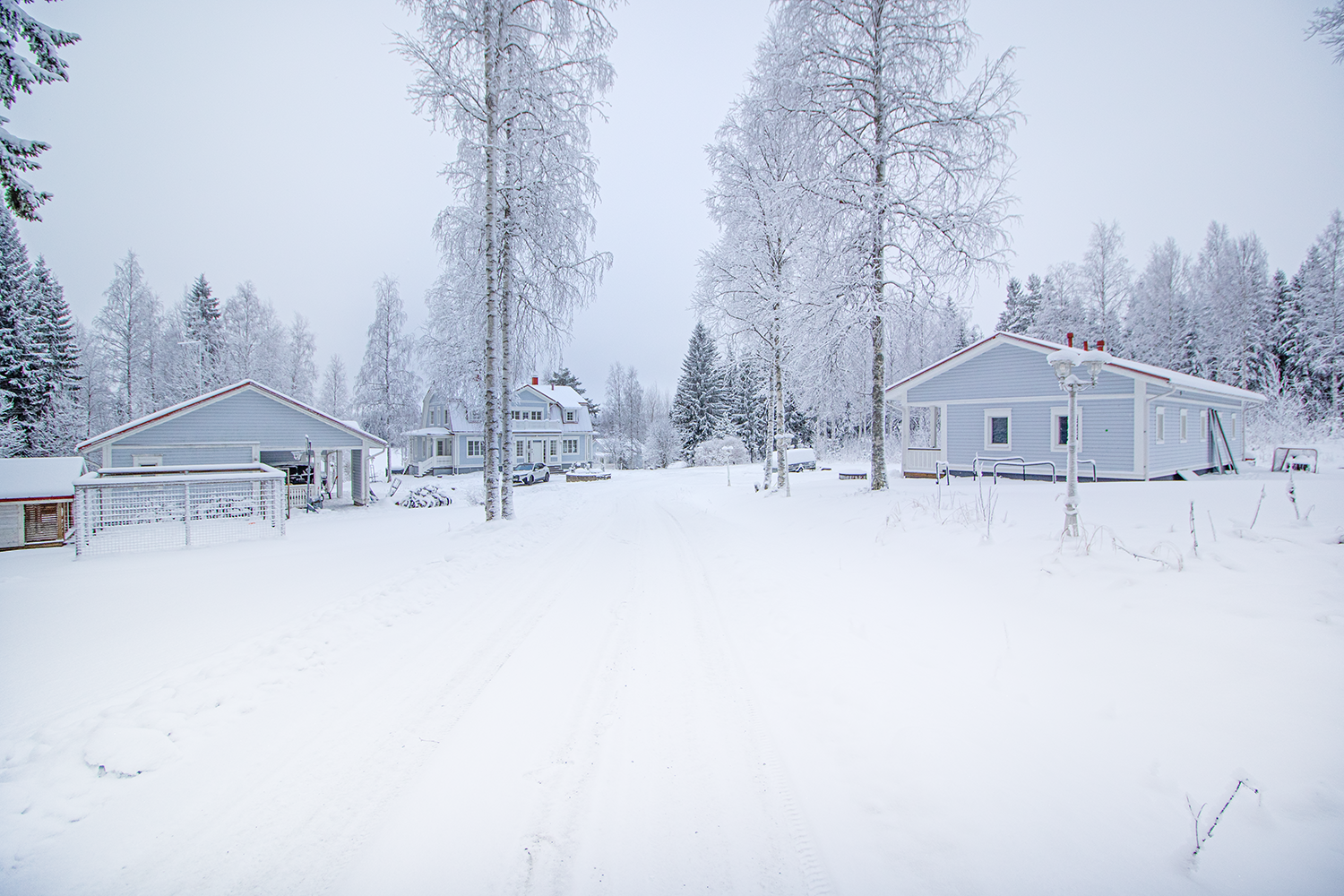 pihapiirissä kaksi koiratarhaa