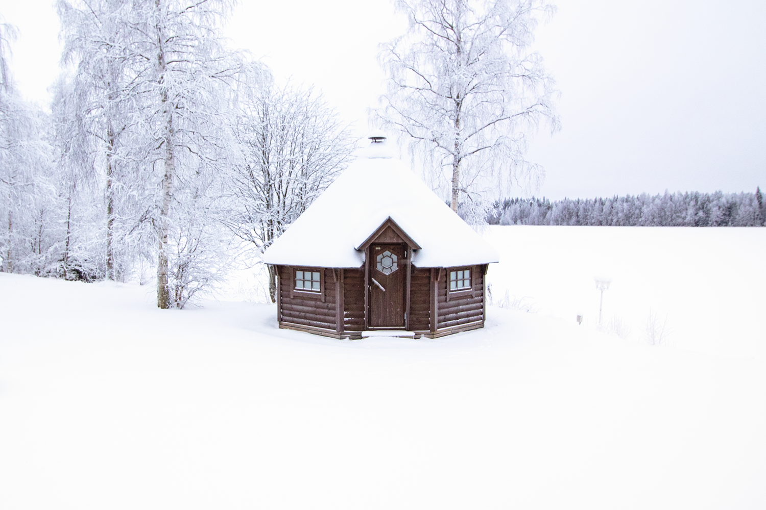 Laukaanjärven eteläranta