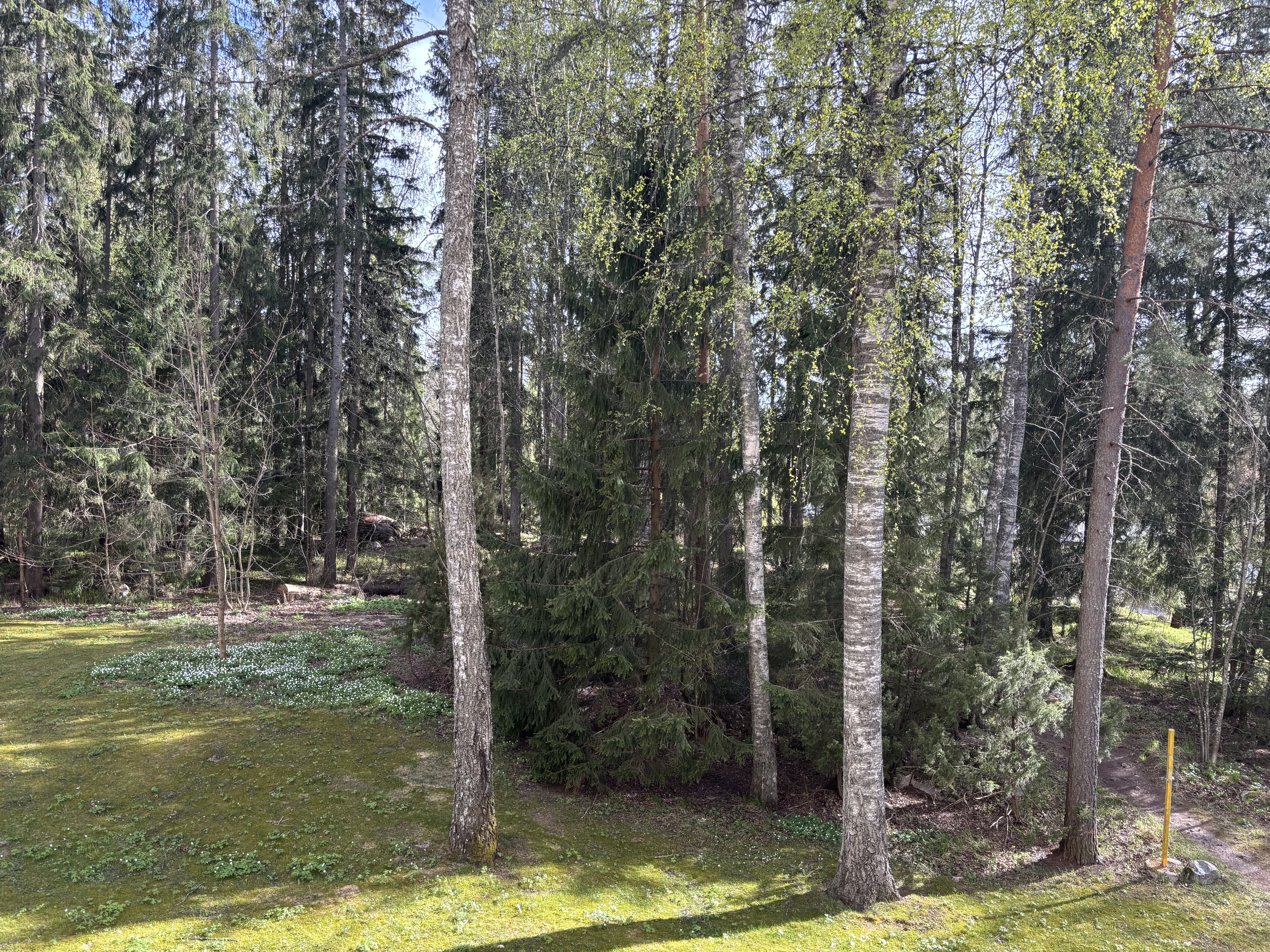 Näkymä keittiön ikkunasta