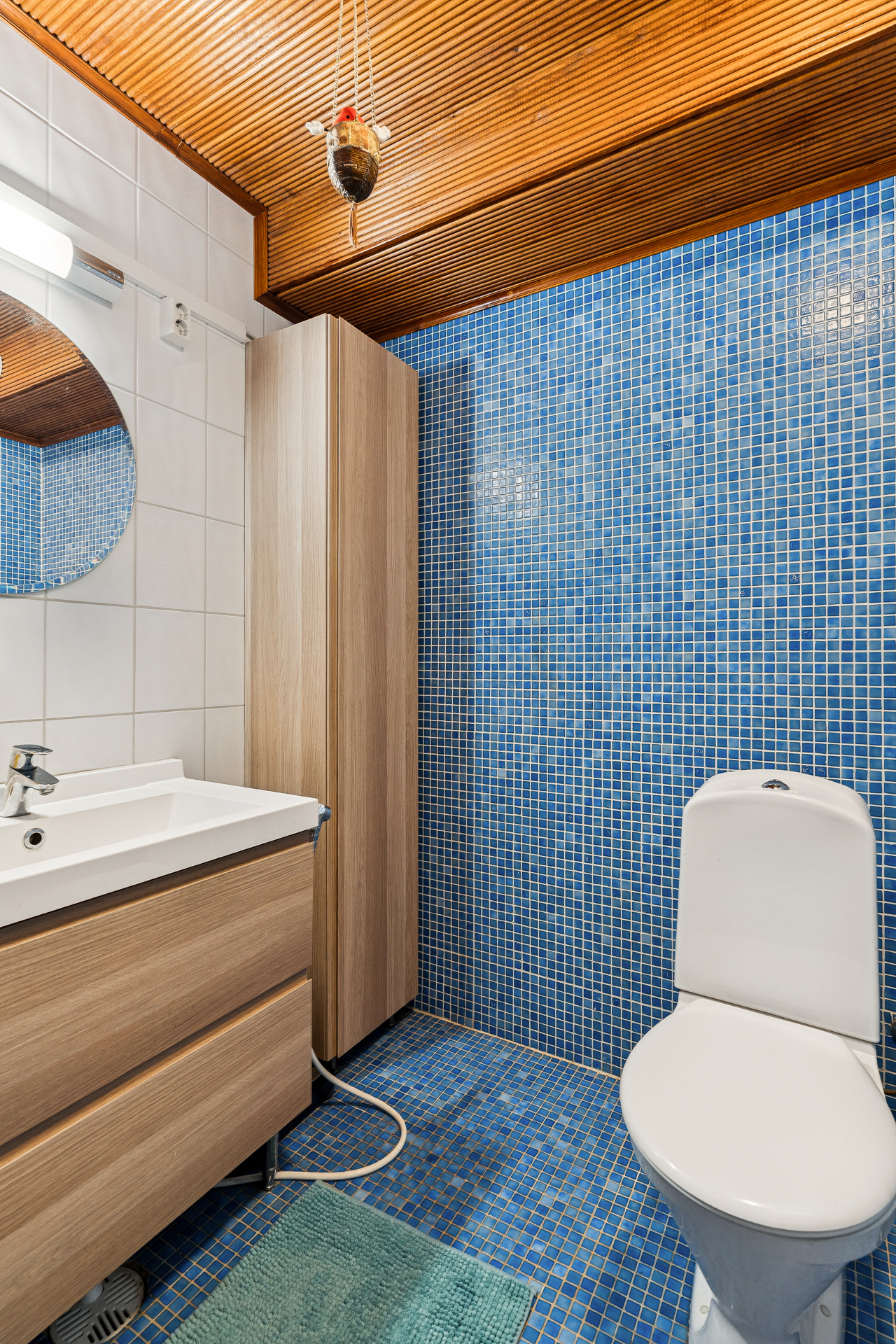 Erillinen wc