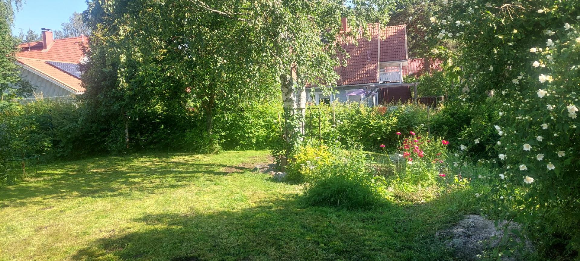 Pihaa kesällä