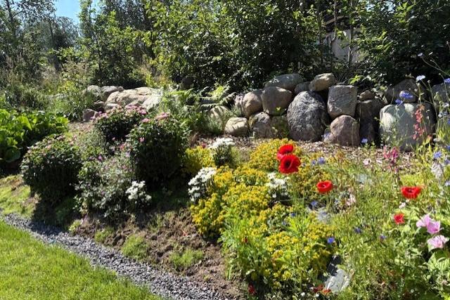 Kuva myyjän albumista