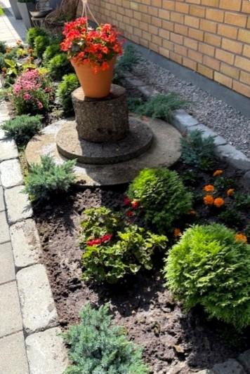 Kuva myyjän albumista