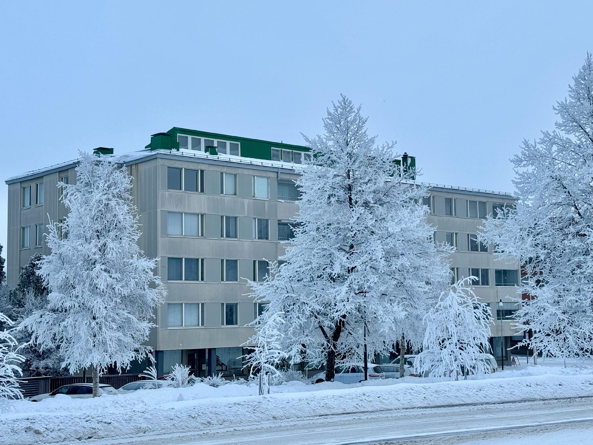 Puutarhakatu on puistokatu