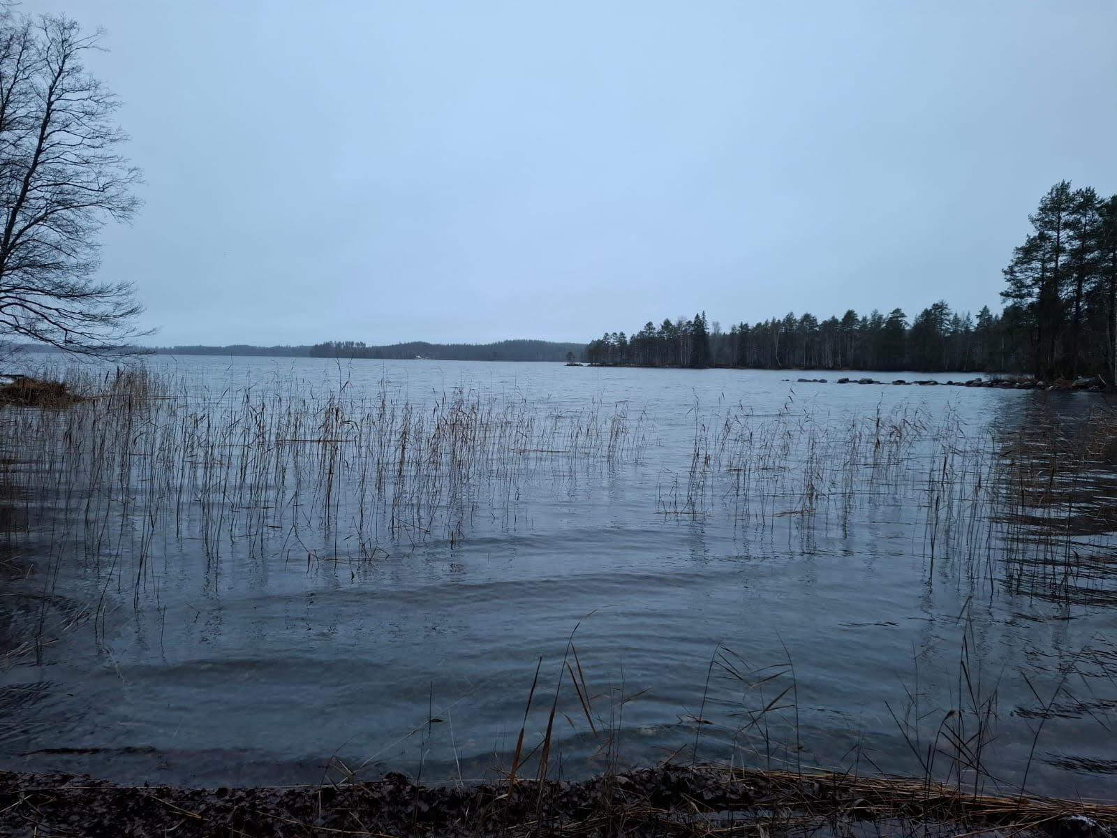 Tuulensuuntie 31, Tihusniemi, Pieksämäki