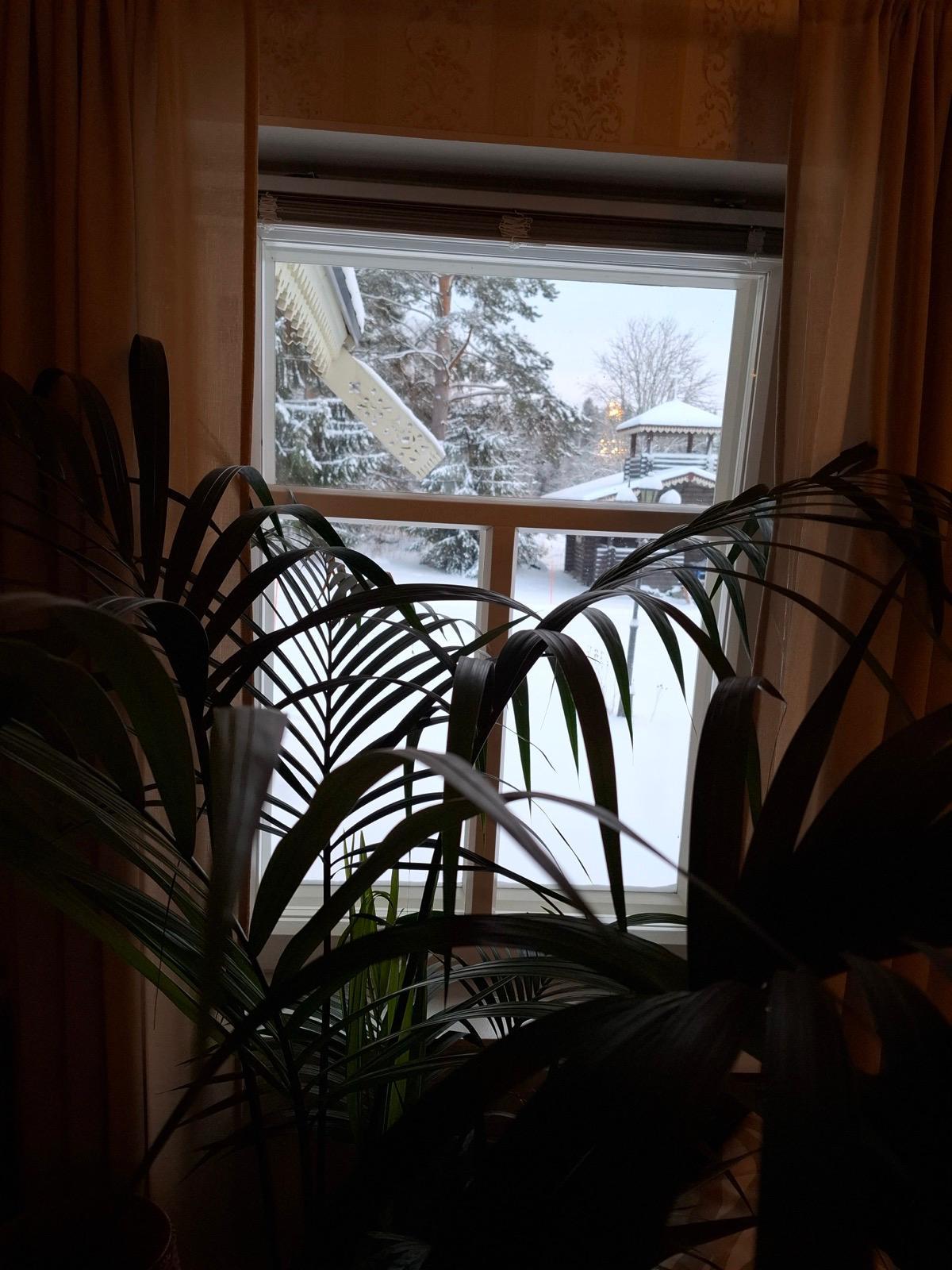 Tuulensuuntie 31, Tihusniemi, Pieksämäki