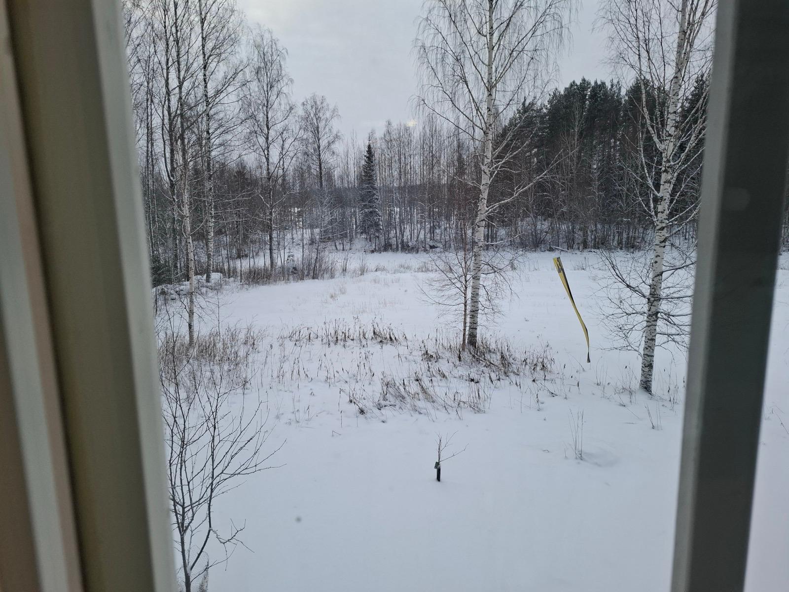 Tuulensuuntie 31, Tihusniemi, Pieksämäki