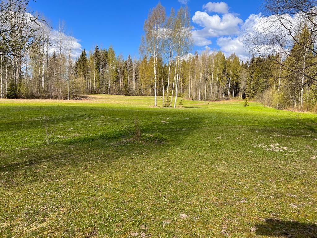 Tuulensuuntie 31, Tihusniemi, Pieksämäki