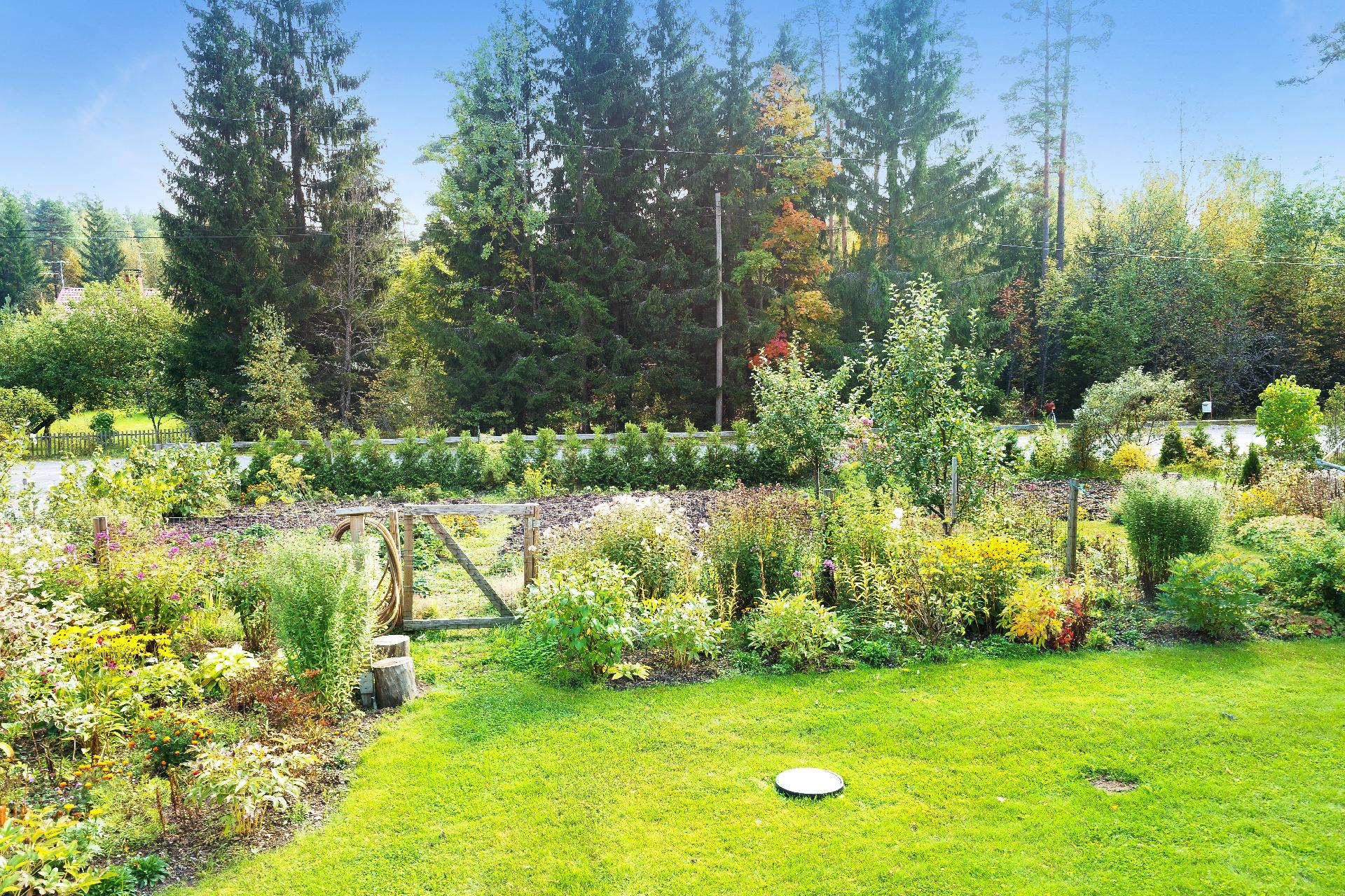 Kauniista kukkaloistosta voit nauttia kevät- ja kesäkauden ja jopa pitkälle syksyyn