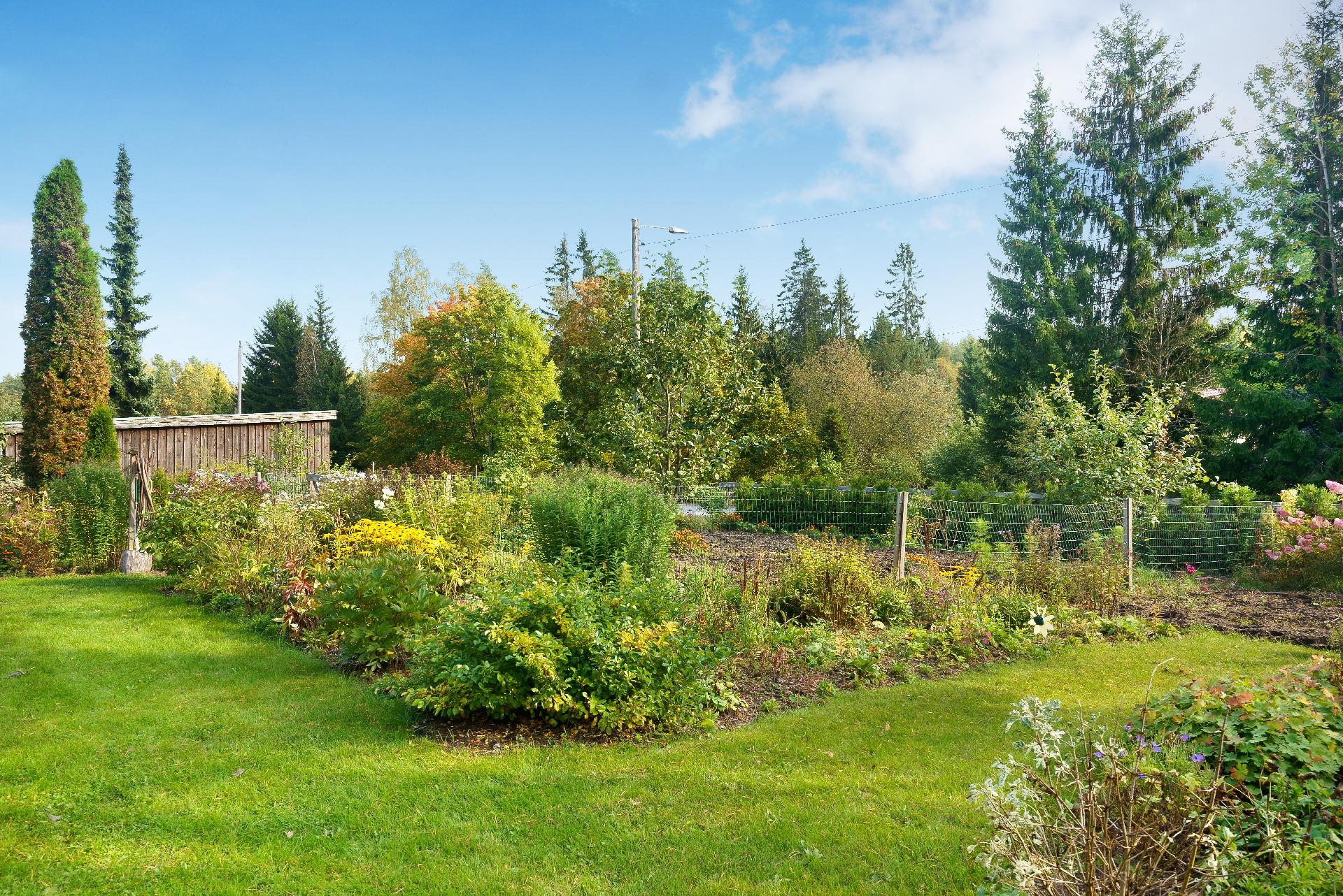 Vehreä puutarhamainen pihapiiri