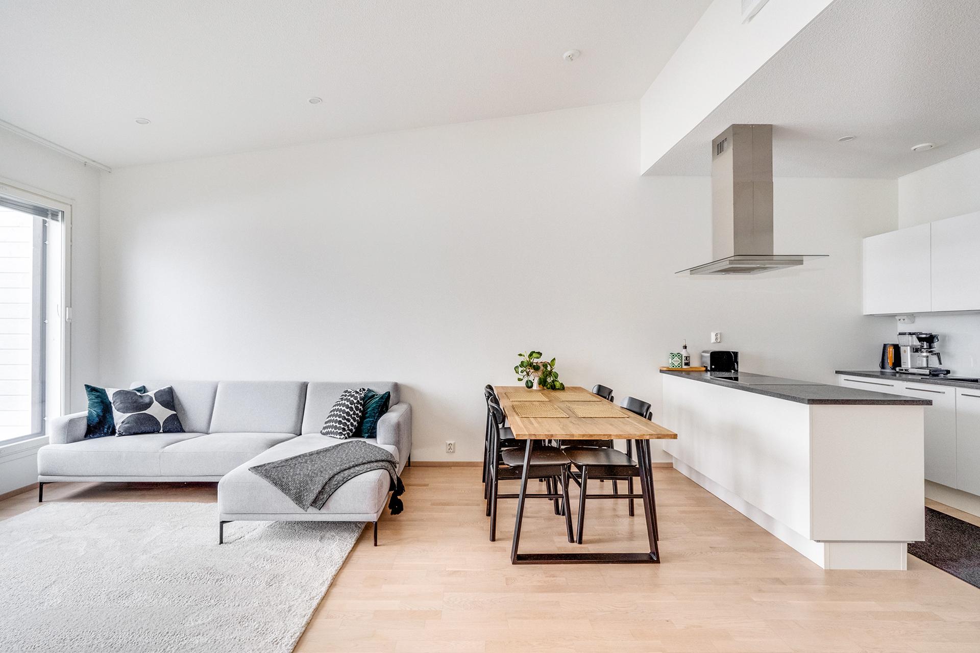 Viistokatto ja normaalia korkeampi huonekorkeus (3,5m) luovat avaruutta asuntoon