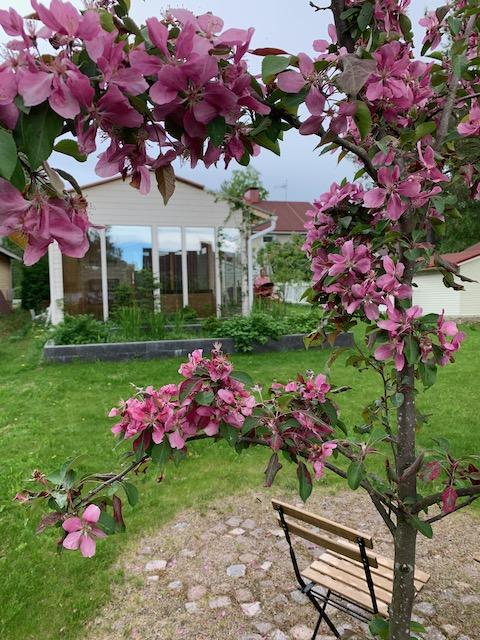 Vesaisentie 8, Nokela, Oulu