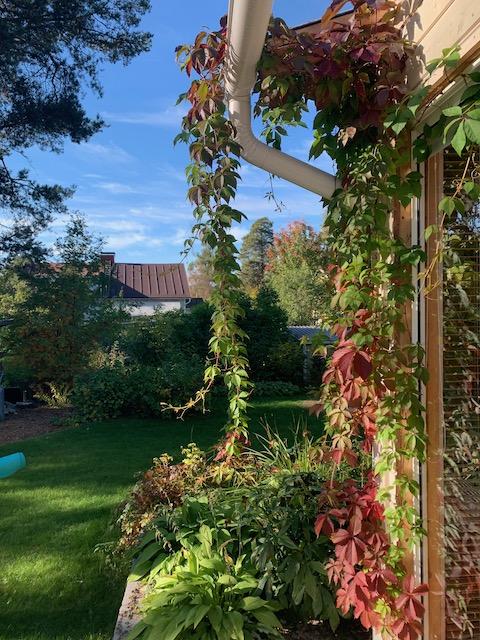 Vesaisentie 8, Nokela, Oulu