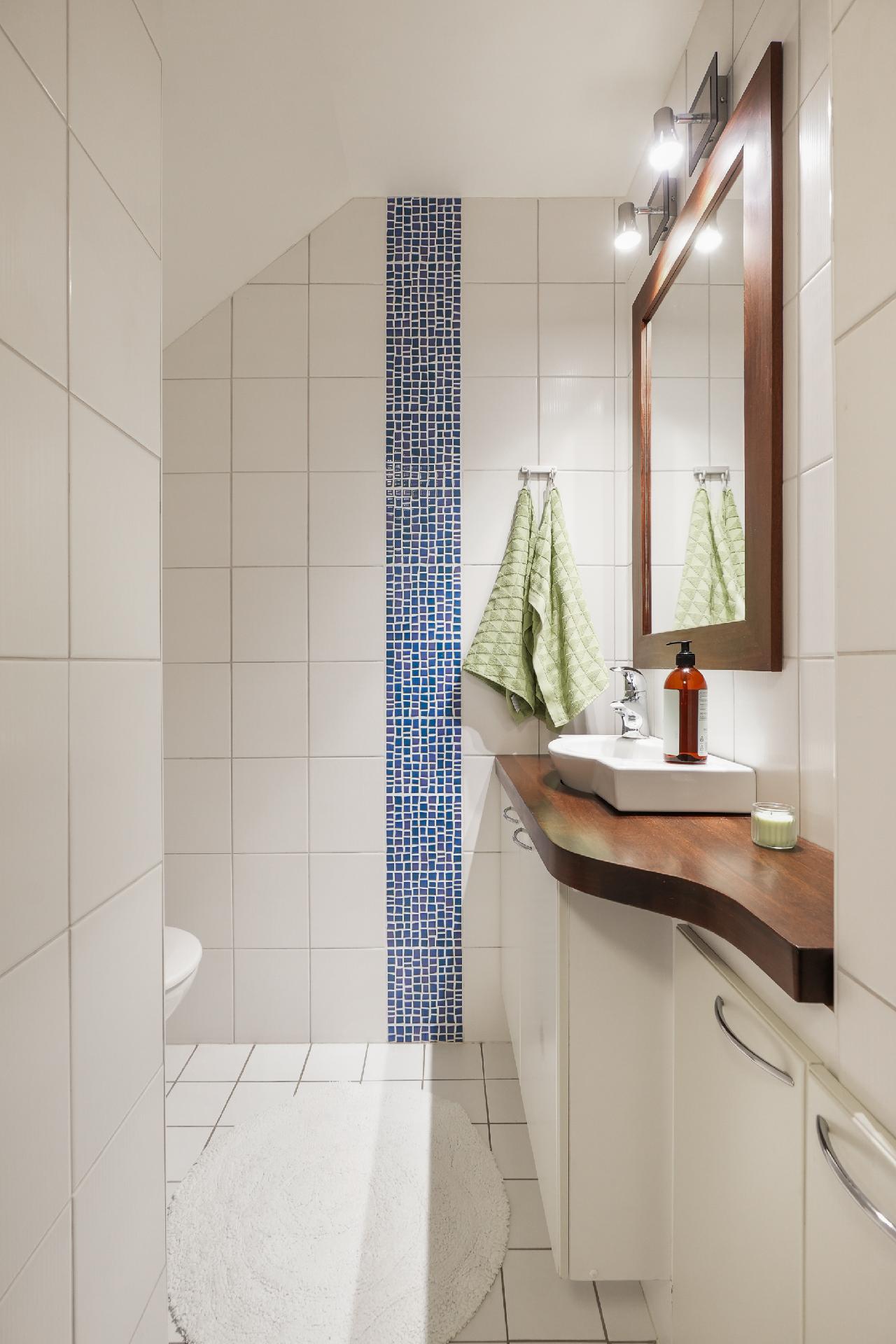 Alakerran erillinen WC