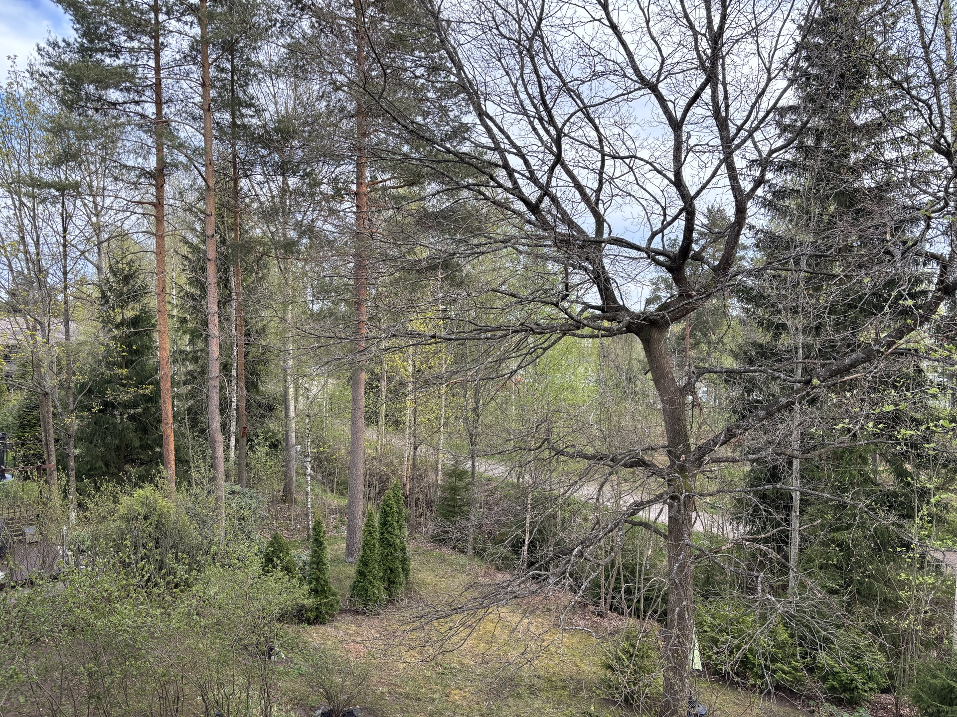Näkymä parvekkeelta