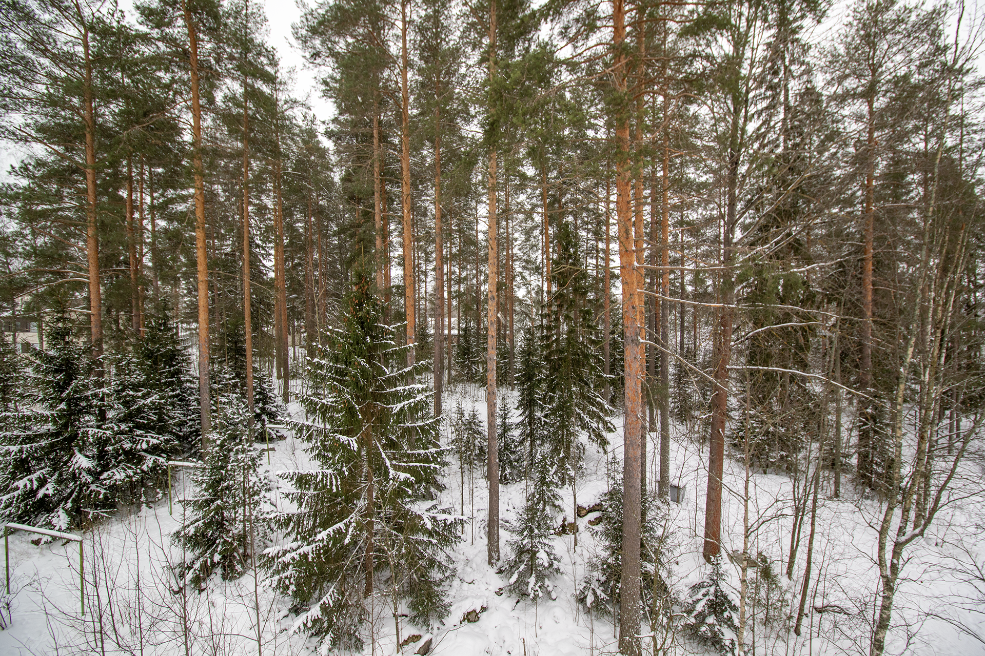 Sandelsintie 18, Vuorela, Siilinjärvi