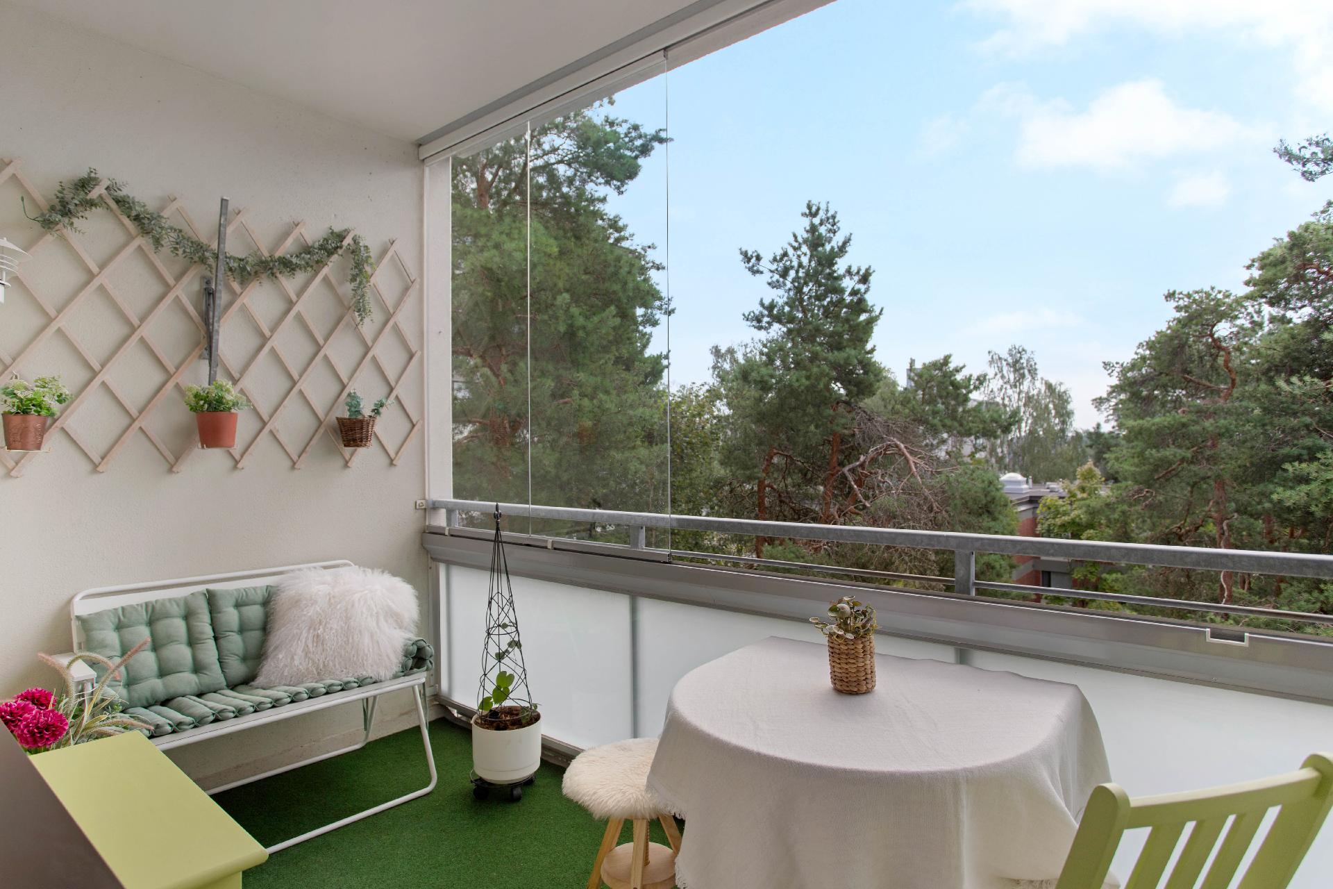 Mäntyjen latvat ja taivas näkymät.