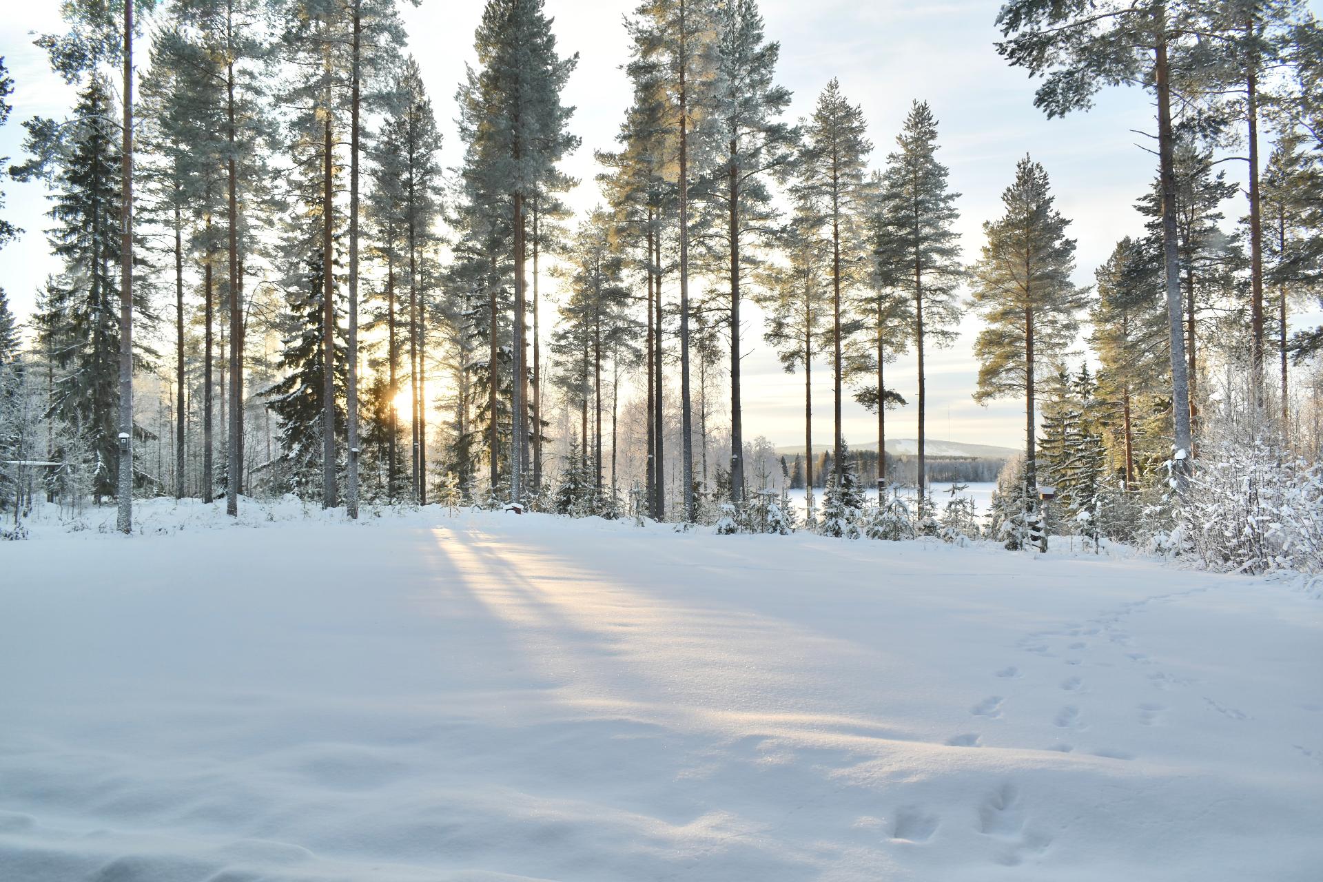 Koivurinteentie 24, Ylisotkamo, Sotkamo