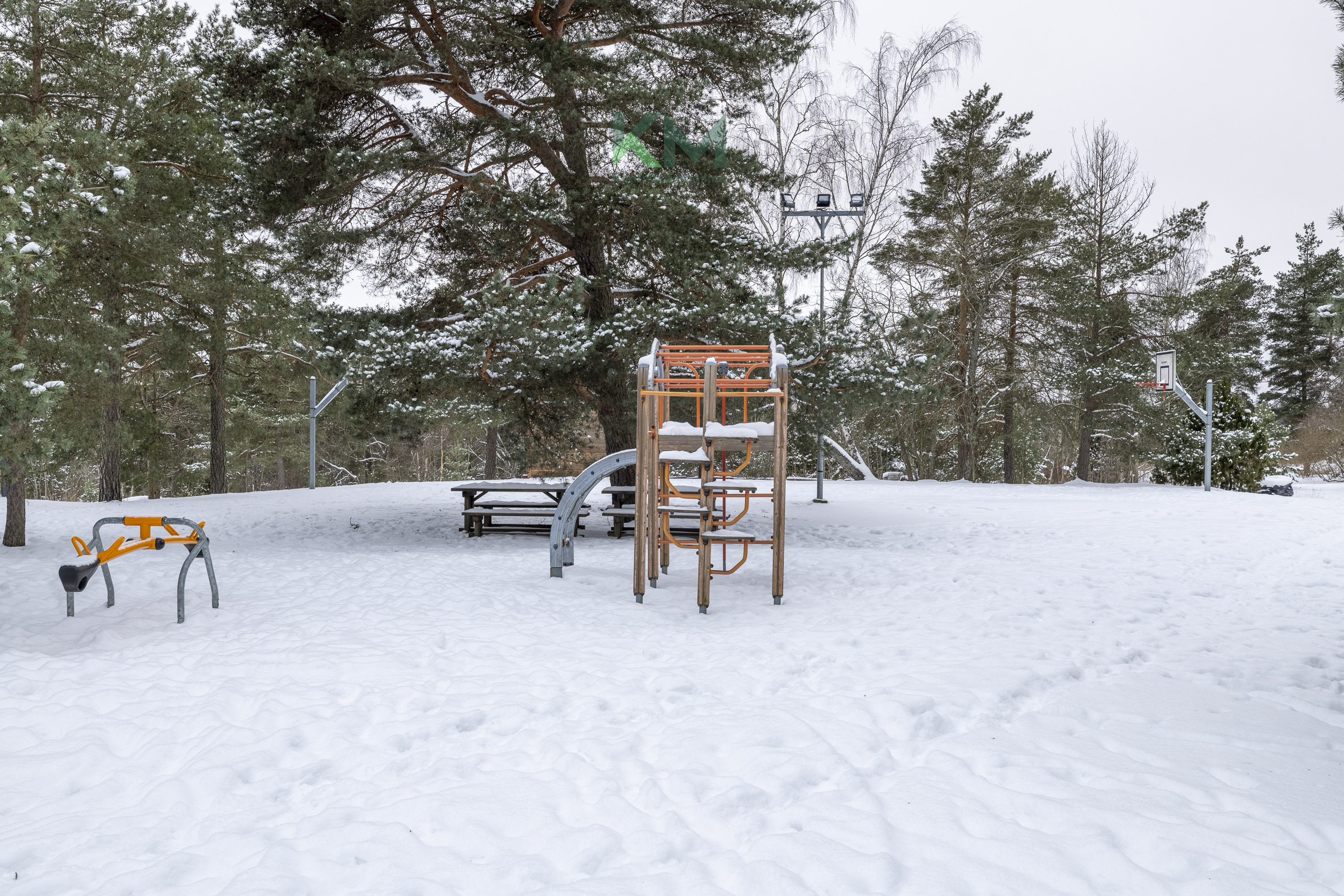 Taloyhtiön viihtyisä piha