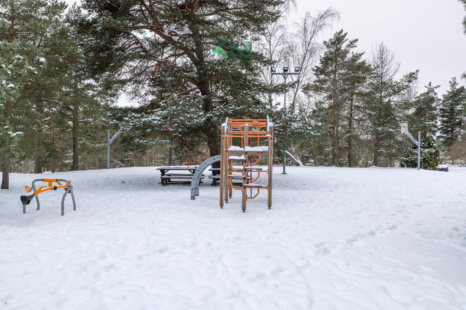 Taloyhtiön viihtyisä piha