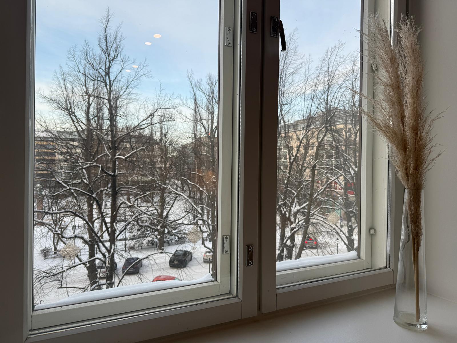 Olohuoneesta näkymät Keskuskadulle