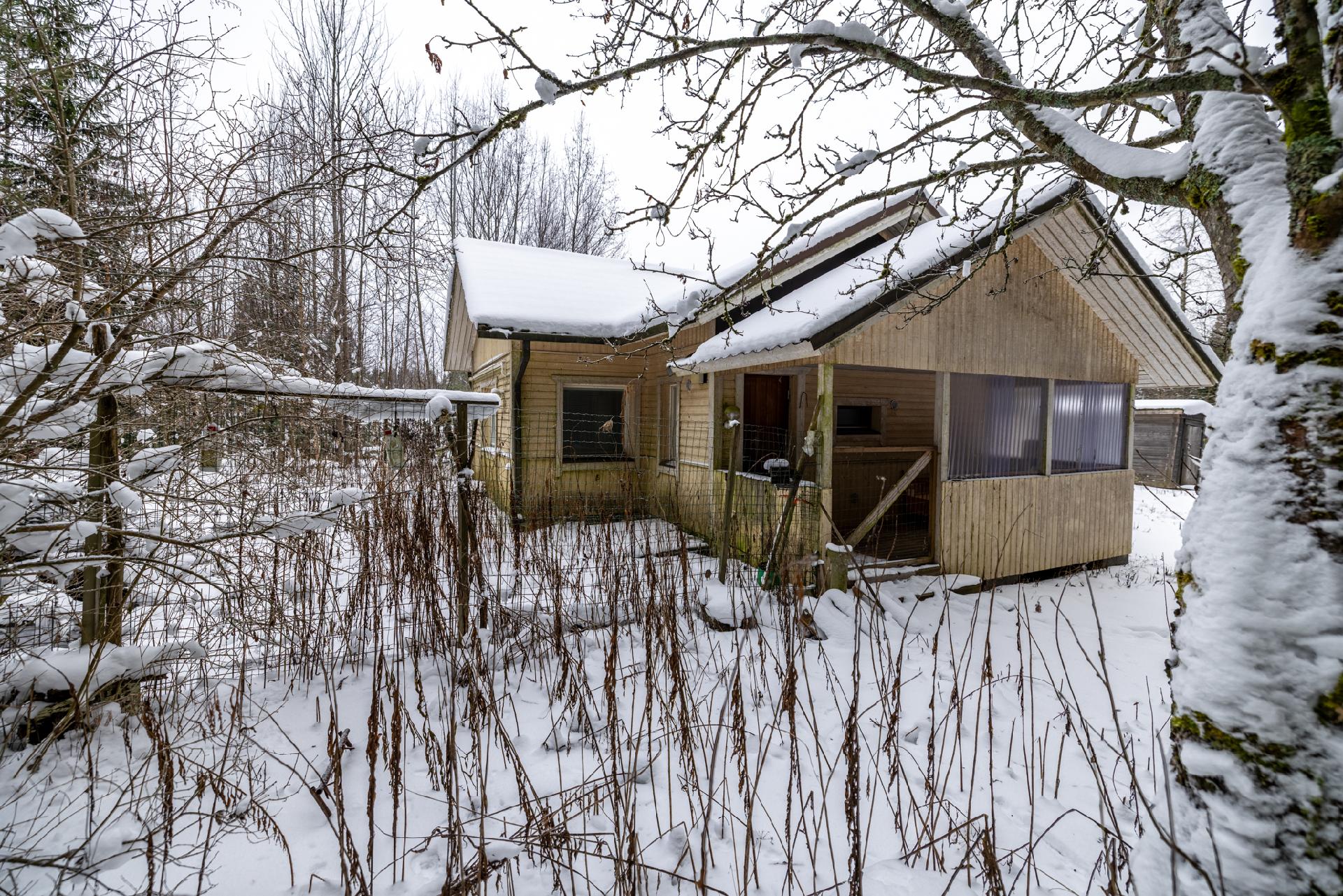 Vanha-Juvantie 802, Juva