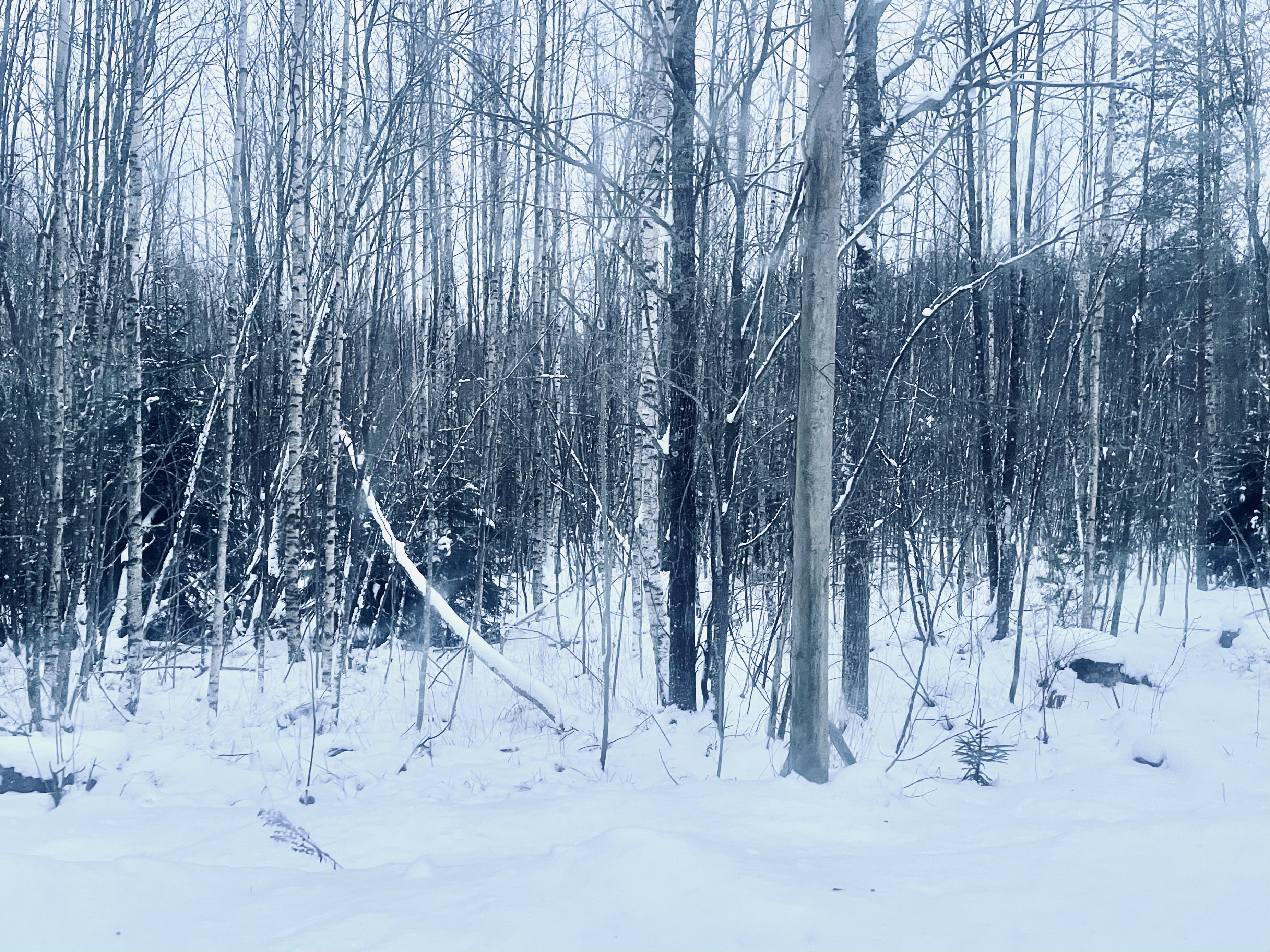 Rankilantie -, Rankila, Inkoo